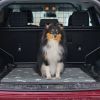 2Pcs Washable Pet Pee Pads For Puppy Kittens Dogs Cats Reusable Potty Mats Machine Washable Pet Training Pads Non-Slip Waterproof Absorbent Dog Crate