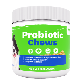 OEM Hot Sales Probiotics Chews For Pets Customized Shape For Digestive Health Pets Supplement Healthy Gut For Dogs (Option: 1pcs)